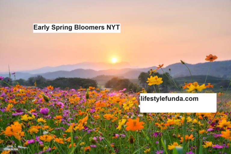 Early Spring Bloomers NYT